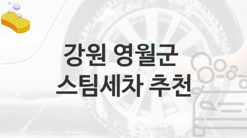 강원 영월군 
스팀세차 추천