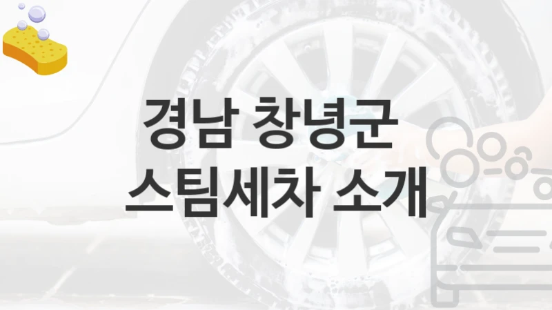 경남 창녕군 
스팀세차 소개