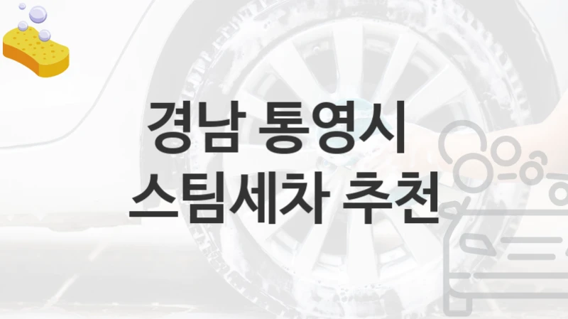 경남 통영시 
스팀세차 추천