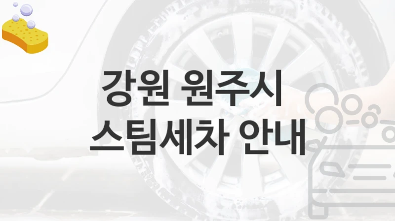 강원 원주시 
스팀세차 안내