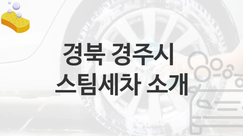 경북 경주시 
스팀세차 소개