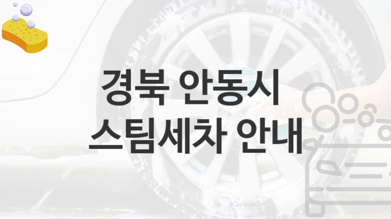경북 안동시 
스팀세차 안내