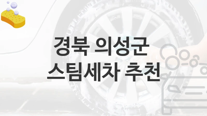 경북 의성군 
스팀세차 추천