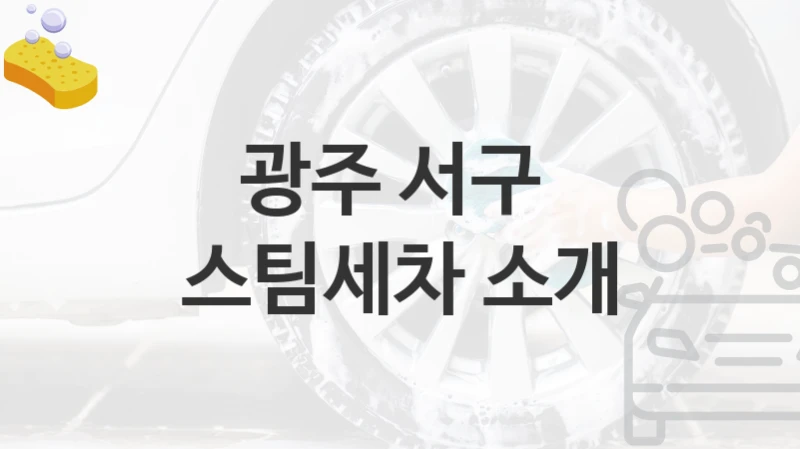 광주 서구 
스팀세차 소개