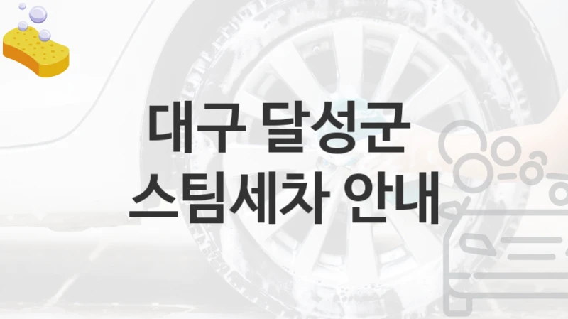 대구 달성군 
스팀세차 안내