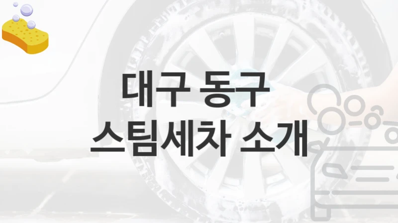 대구 동구 
스팀세차 소개