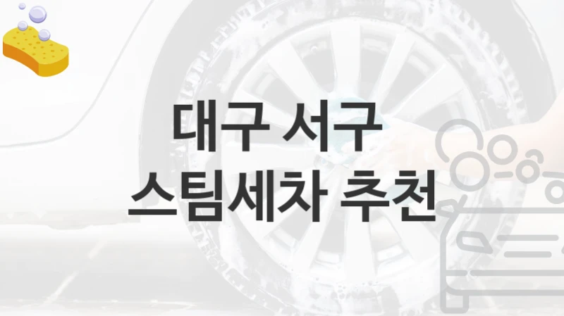 대구 서구 
스팀세차 추천