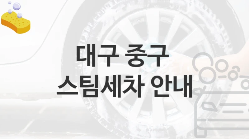 대구 중구 
스팀세차 안내