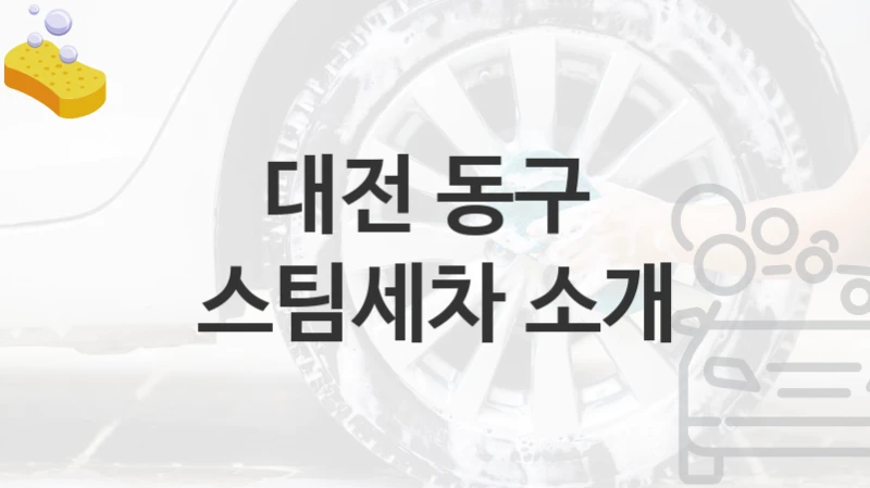 대전 동구 
스팀세차 소개