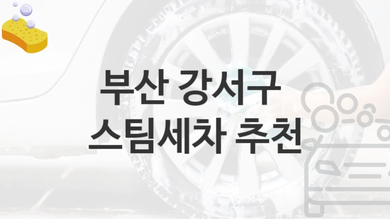 부산 강서구 
스팀세차 추천