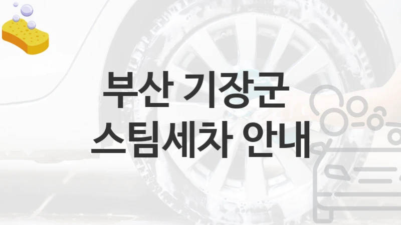 부산 기장군 
스팀세차 안내