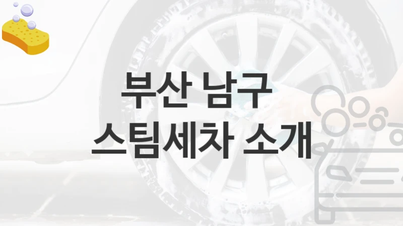 부산 남구 
스팀세차 소개