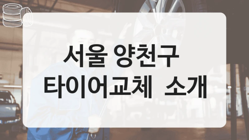 서울 양천구 
타이어교체  소개